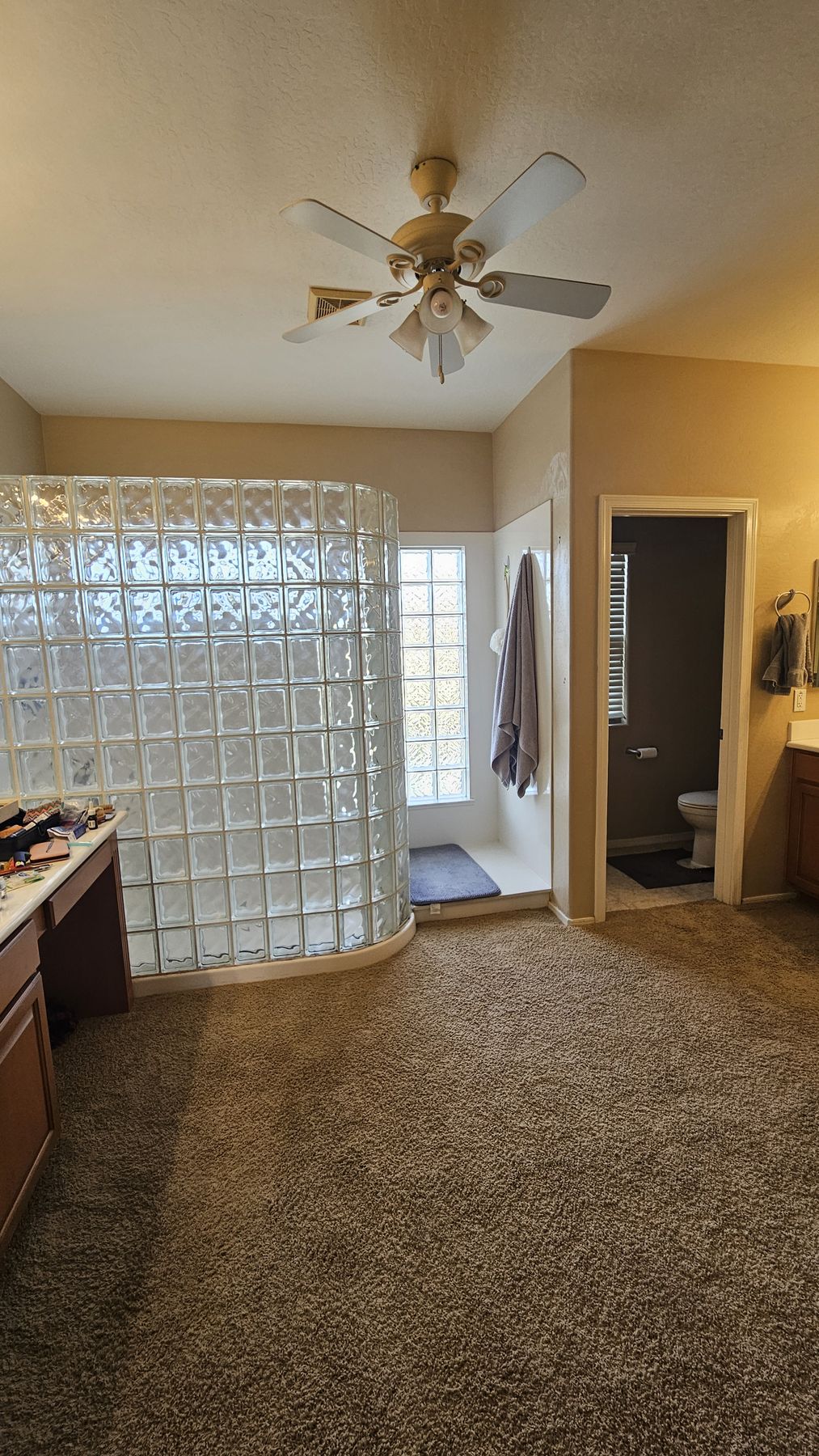 Original primary bathroom before the remodel with a curved glass block shower enclosure and carpeted flooring