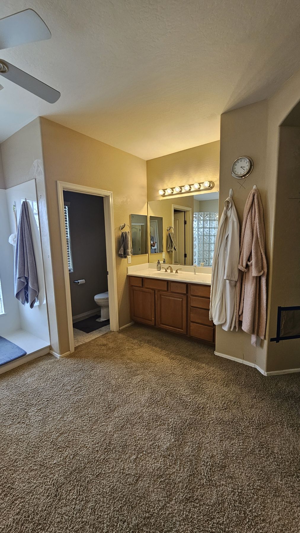 Original primary bathroom vanity before the remodel with a builder-basic wood vanity, dated brass fixtures, and carpet flooring